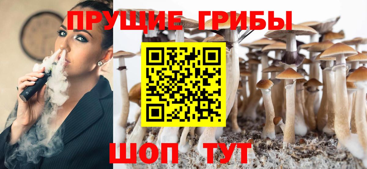 Галлюциногенные грибы Psilocybine cubensis Кинешма
