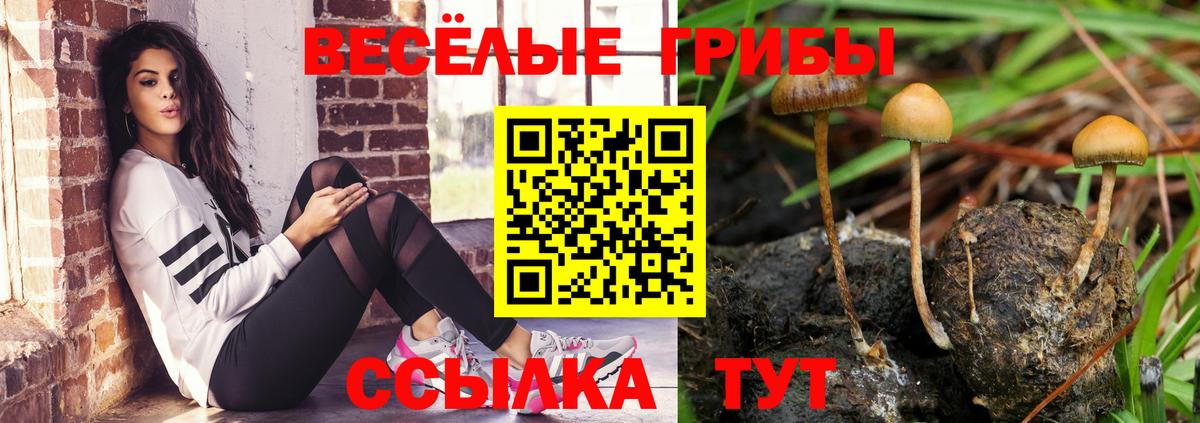 Кинешма  Псилоцибиновые грибы Cubensis  Галлюциногенные грибы Magic Shrooms  Вход с VPN 
