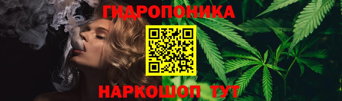 Каннабис план Кинешма